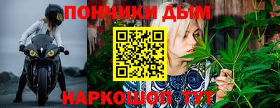 мдпв Кимры