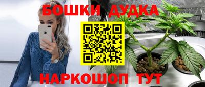 спиды Кинель
