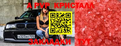 дурь Кингисепп