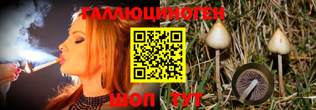 Галлюциногенные грибы мухоморы Котовск